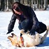 От гололеда в Великом Новгороде страдают люди и собаки