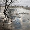 Бороться с паводком в Новгородском районе будут депутаты