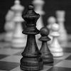 В Окуловском районе пройдет шахматный турнир памяти Вилена Сагалатова