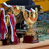 В Новгородской областной филармонии вручат награды по итогам спортивного сезона 2014 года