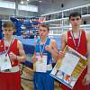 Три боксера Новгородской области прошли отбор на первенство России