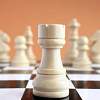 Школьные шахматные команды выявят сильнейших в первенстве области 