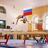 Открытые областные соревнования по спортивной гимнастике, на призы ЗМС России Анны Ковалевой