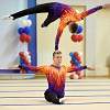 Новгородские акробаты стали призёрами всероссийских соревнований