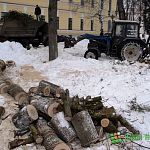 В новгородском кремле началась массовая вырубка деревьев (фото)