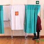На местных выборах в Боровичах лидирует жена осужденного экс-мэра Боровичей