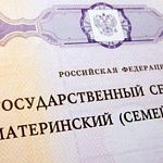 В Новгородской области «обналичили» материнский капитал на 6,3 миллиона рублей 