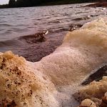 «Водоканал» заплатит 114 миллионов за сброс сточных вод в Волхов
