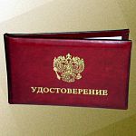 Ещё одного новгородского депутата должны лишить статуса 