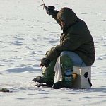 Новгородских «пингвинов» будут штрафовать за выход на лёд