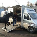 Новгородский «Акрон» приобрёл французскую коневозку