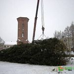 В Старой Руссе на главной площади города установили 15-метровую ель 