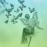 Мечты бабочки