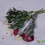 В Великом Новгороде при падении из окна погибла 6-летняя девочка