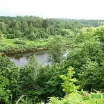 Великий Новгород примет юниорский лесной конкурс «Подрост»
