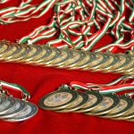 Новгородские вольники выиграли три золота на международном турнире в Норвегии