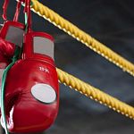 Пять новгородских боксёрш стали лучшими на Северо-Западе