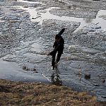 Новгородский токсикоман плавал по Волхову на льдине 