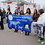 Более 50 зоозащитников Великого Новгорода вышли на митинг 
