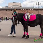 Читательница: вчера в Кремлевском парке лошадь сбила женщину 