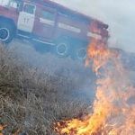 С начала мая новгородские пожарные более четырёхсот раз тушили траву 