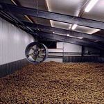 В Шимске планируют построить крупное современное хранилище картофеля 