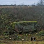 Географы из НовГУ готовят туристический маршрут к гигантскому камню по имени Камень