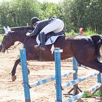 Новгородцы успешно выступили на конных соревнованиях в Санкт-Петербурге