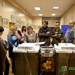 На двух новгородских избирательных участках из-за поломки КОИБов голоса считали вручную