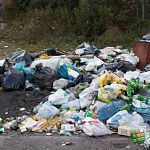 Народный репортёр: «Побережье Мсты в Маловишерском районе – на грани экологического бедствия»