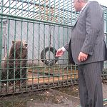 Владелец автокемпинга с медведицей судится с новгородской администрацией из-за земли