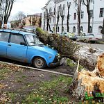 Раздавившее автомобиль дерево и рядовое ДТП парализовали центр города
