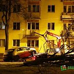Фотофакт: В Великом Новгороде «Honda Civic» завалила дерево