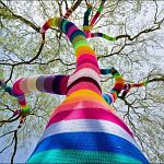 К Новому году деревья у «Диалога» хотят нарядить вязаной одеждой