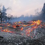 Из-за пала травы в Старорусском районе сгорели семь построек