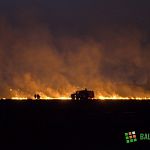 В последние сутки пожарные 47 раз выезжали тушить горящую траву