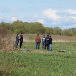 Новгородские археологи сдали в полицию «чёрных копателей» 