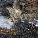 Активисты Гринпис тушили пожар на старом торфянике в Новгородской области 