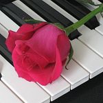 Филармония приглашает новгородцев в музыкальную гостиную «У белого рояля»