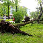 В Новгородской области объявлено штормовое предупреждение