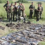 Поисковики раскопали захоронение солдат Красной армии в Чудовском районе
