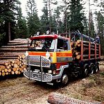 Новгородские заготовители  теперь будут перевозить лес по новым правилам