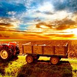 Новгородчина вошла в тройку худших регионов Северо-Запада по числу фермерских хозяйств