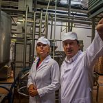 Новгородские власти помогают молочному производству в привлечении средств 