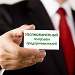 Новгородский бизнес-омбудсмен обзаводится общественными помощниками в районах