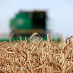Губернатор: «Некоторые показатели этого селькохозяйственного сезона будут лучшими в истории области»