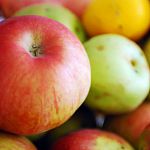 Четыре тонны яблок не доехали до Новгородской области