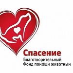 Новгородский фонд помощи животным «Спасение» отмечает шестой день рождения