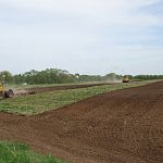 В Новгородской области значительно увеличили субсидии аграриям 
