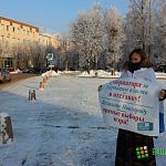 Активистка Ксения Сергеева вышла на пикет с требованием отставки губернатора